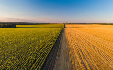 Υπηρεσίες ΟΣΔΕ αιτήσεις